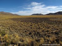 Terreno aberto vasto de Oruro a Uyuni por trem. Bolívia, América do Sul.