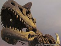 Ossos/modelo de dinossauro em museu em Parque Cretacico em Sucre. Bolívia, América do Sul.