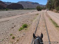Cavalo que monta em Tupiza. Bolívia, América do Sul.