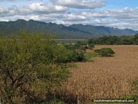 Larger version of Beautiful scene, mountains, river and crop field in Abapo.
