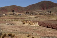 Haystacks and land used to cultivate crops between Desaguadero and Tiwanaku. Bolivia, South America.