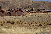 Un nio pasa junto a un grupo de casas de adobe entre Desaguadero y Tiahuanaco. Bolivia, Sudamerica.