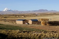 Houses made of brick and hay, a windmill, mountains behind, between Tiwanaku and La Paz. Bolivia, South America.