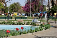 Flores e árvores coloridas em Praça Colon em Cochabamba. Bolívia, América do Sul.