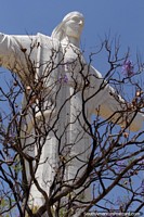 Jesus stands behind a tree of flaming twigs in Cochabamba. Bolivia, South America.
