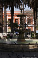 Fountain, pigeons and palm trees at the main plaza in Tarija. Bolivia, South America.
