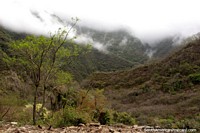 Vale verde e colinas da Reserva Natural Alarachi, ao norte de Bermejo. Bolívia, América do Sul.