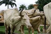 Homem com as suas vacas aram, monumento em Cobija. Bolívia, América do Sul.