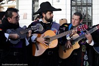 Bolivia Photo - The 3 musketeers exchange their horses for guitars and begin to play at an event in Potosi.