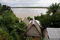 Thatched roof houses around palm trees at the rivers edge in Riberalta. Bolivia, South America.