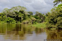 Versión más grande de Los árboles alrededor del río Mamore brillan de color verde brillante a la luz del sol de la mañana en Trinidad.