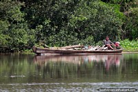 O homem transporta logs e ramos no seu barco de rio nas áreas alagadas em volta de Trinidad. Bolívia, América do Sul.