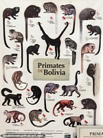 Primates de Bolivia, uno de los muchos tableros de información sobre animales y naturaleza en el Museo Botánico de Trinidad. Bolivia, Sudamerica.