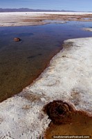 As bolhas de buraco marrons com a água no sal atenuam em Uyuni, chamam-no os olhos do deserto. Bolívia, América do Sul.