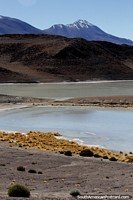 Las orillas de la laguna Charcota y las montañas distantes, un recorrido por las lagunas en el segundo día del recorrido por el desierto de Uyuni. Bolivia, Sudamerica.