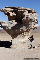 Rock tree (arbol de piedra), 3 or 4 times taller than a person, formed by wind and sand in the Uyuni desert. Bolivia, South America.