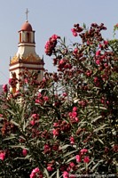 La Recoleta Temple, the tower and a beautiful pink tree in Cochabamba.