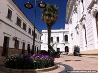 Fachadas branco-vivas atrás do Palácio de Justiça em Sucre, flores purpúreas na cidade branca.