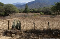 Montaas y tierras de cultivo alrededor de Trigal, al norte de Vallegrande.