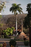 Palmeira na praa e muita natureza ao longe em San Jos de Chiquitos.