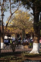 Colorful trees and people in the plaza in San Ignacio de Velasco.