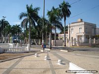 Palm trees and street in Corumba. Brazil, South America.