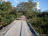 Wooden bridges over waterholes in the Pantanal. Brazil, South America.