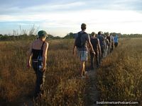 Walking through fields in the Pantanal. Brazil, South America.