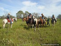 Nuestro paseo del caballo en Pantanal era para casi 2 horas. Brasil, Sudamerica.