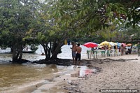 Uma praia com muitas árvores sombreadas em Alter do Chao perto de Santarem. Brasil, América do Sul.