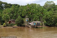 Una casa con una torre de agua y refugio río en el río al norte de Breves en el Amazonas. Brasil, Sudamerica.