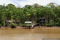 Casa y embarcadero en el río Parauau, un río fuera del Río Amazonas, al norte de Breves. Brasil, Sudamerica.