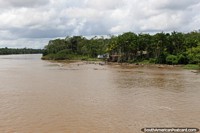 O Rio Parauau viaja para o sul do Rio de Amazônia em direção a Belém. Brasil, América do Sul.