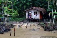 Versión más grande de ¿Cómo pueden las 9 personas encajar en esta pequeña cabaña de madera en la selva Amazónica?