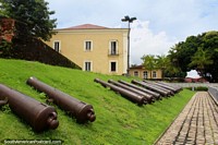 Larger version of Many cannon laying on a grass bank outside the fortress Forte do Presepio in Belem.