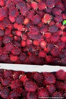 Rambutan, a fruit from South-East Asia, for sale at Ver-o-Peso Market in Belem. Brazil, South America.