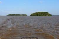 Un par de islas bollo de hamburguesa en el medio del río en el Amazonas, al oeste de Belem. Brasil, Sudamerica.