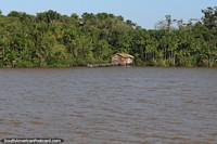 Wooden house with a jetty and a satellite dish in the Amazon beside the river, west of Belem. Brazil, South America.
