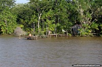 Casa de madera con un viejo embarcadero de madera en la selva junto al río en el Amazonas, al oeste de Belem. Brasil, Sudamerica.