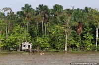 Read more about Belem to Macapa (Amazon River)