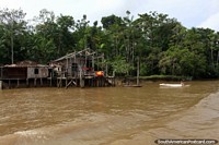 O barco deixa uma onda como passa por uma casa de Amazônia, ao sul de Macapa. Brasil, América do Sul.