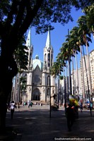 The neo-gothic cathedral of Sao Paulo with palm trees leading towards it. Brazil, South America.