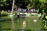 Praca da Republica, pond and fountain at the plaza in the Republica neighborhood in Sao Paulo. Brazil, South America.