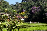 I recommend taking a walk at the botanical gardens in Sao Paulo to escape the concrete jungle! Brazil, South America.