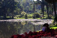 Sao Paulo Jardines Botánicos es un hermoso lugar para relajarse en la ciudad más grande de América del Sur! Brasil, Sudamerica.