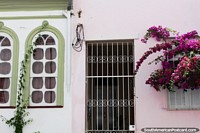 Arched windows and purple flowers, house facade in Salvador. Brazil, South America.