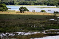 Larger version of River canoe, white stork and cattle around Penedo, a beautiful area.