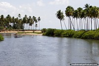 A nice area of water and palms beside the sea in Japaratinga, between Maceio and Maragogi. Brazil, South America.
