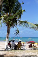 People enjoying the day sitting under a palm tree at Maragogi beach on the north coast. Brazil, South America.