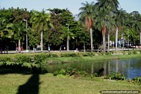 Se sabe que João Pessoa tiene una proporción muy alta de árboles a personas, Parque Lagoa. Brasil, Sudamerica.